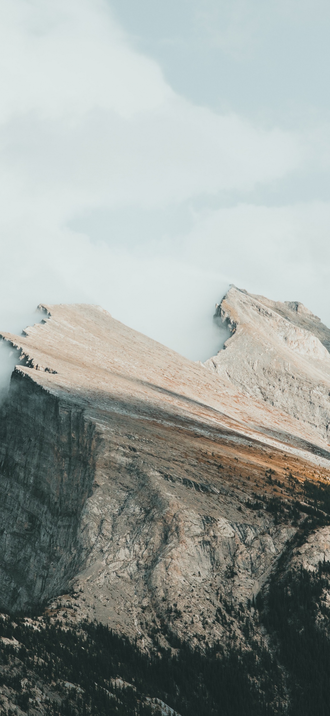 Alberta, Mount Rundle, House Victimz, Soundcloud, The Cyborg. Wallpaper in 1125x2436 Resolution