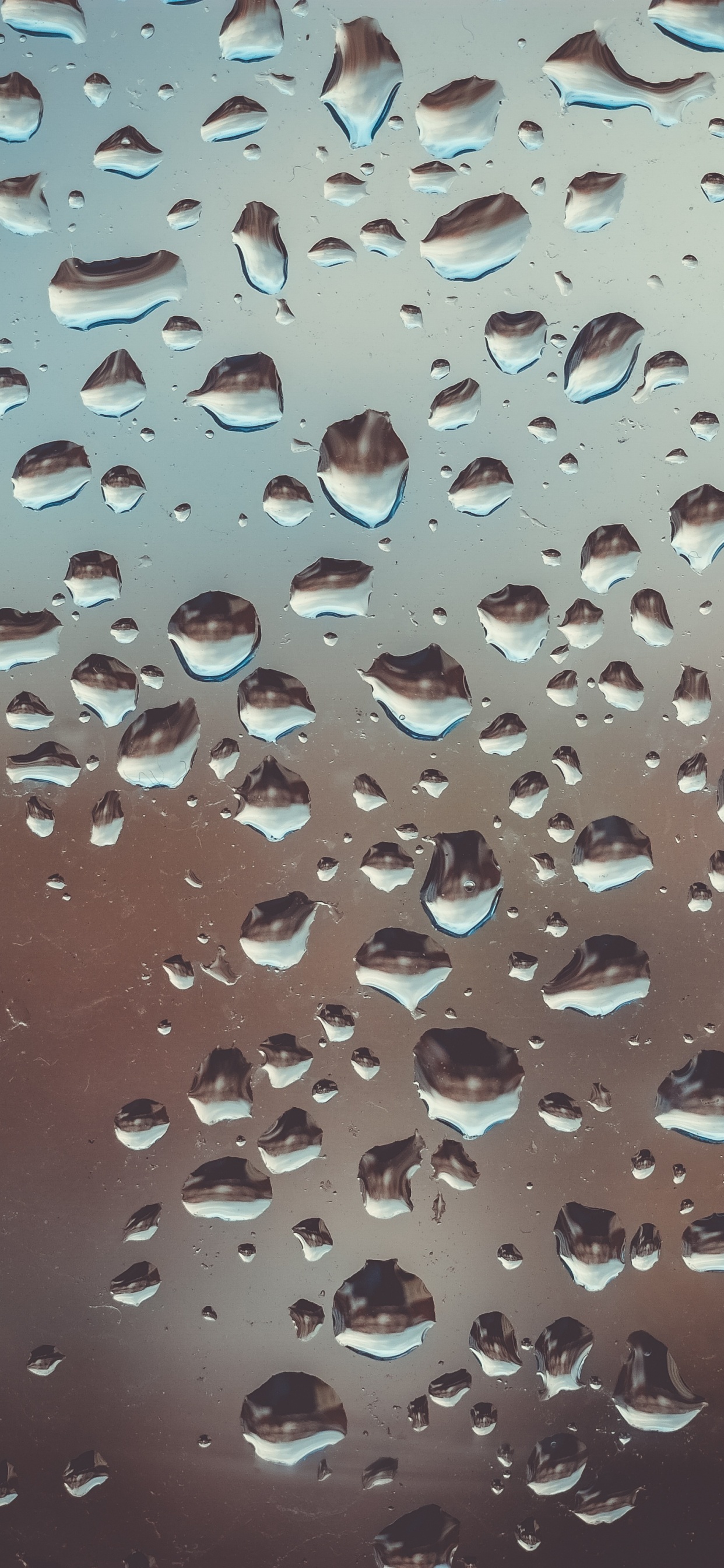 Water Droplets on Glass Panel. Wallpaper in 1242x2688 Resolution