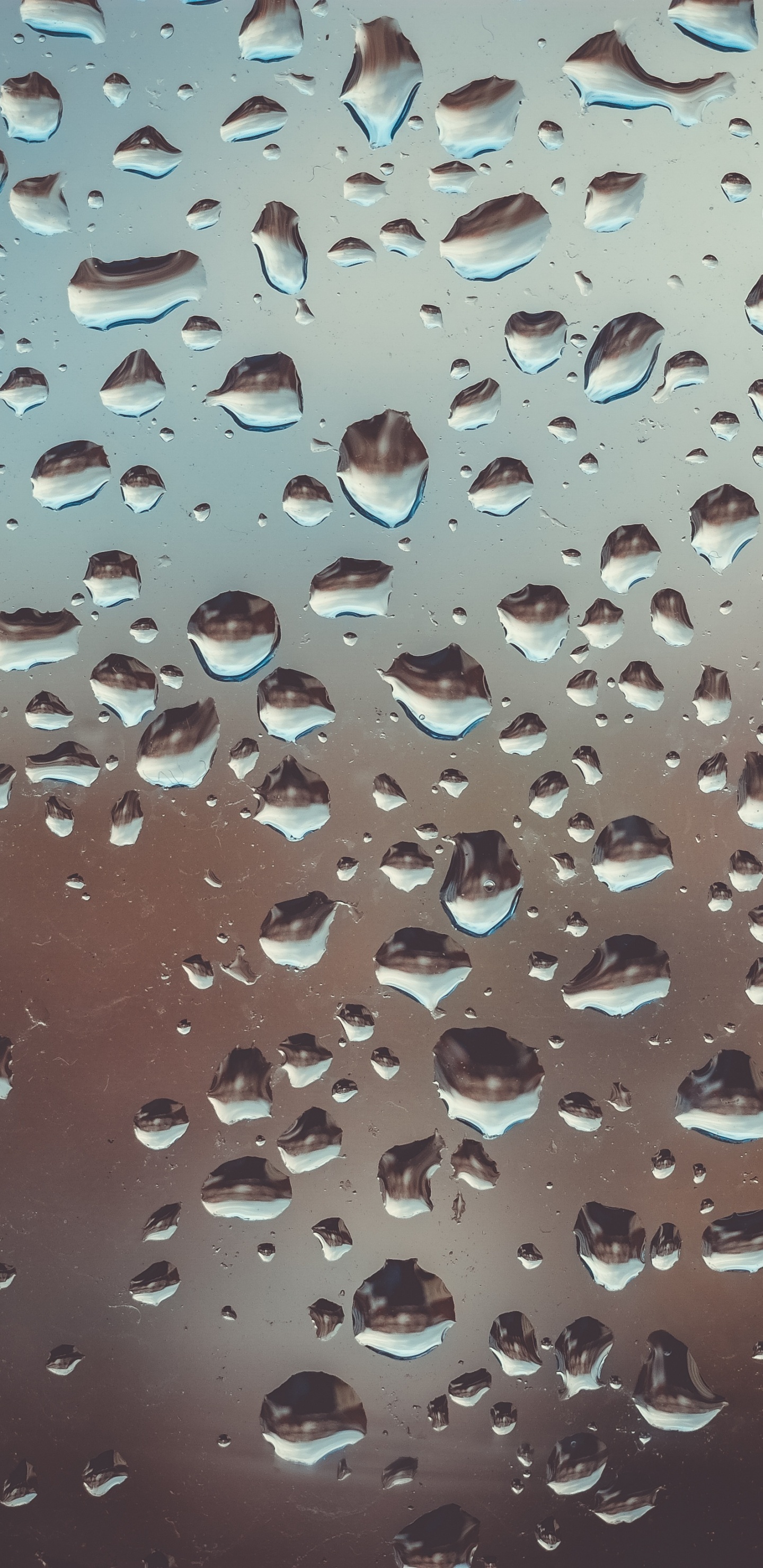 Water Droplets on Glass Panel. Wallpaper in 1440x2960 Resolution