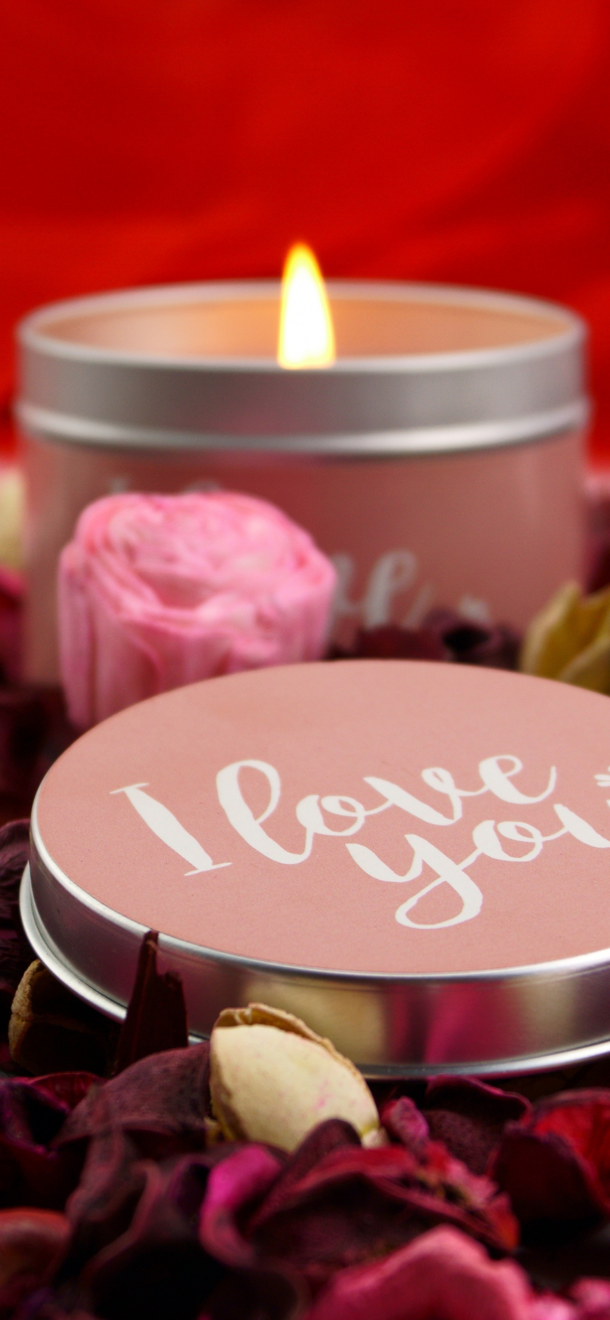 Candle, Rose, Flower, Petal, Heart. Wallpaper in 1242x2688 Resolution