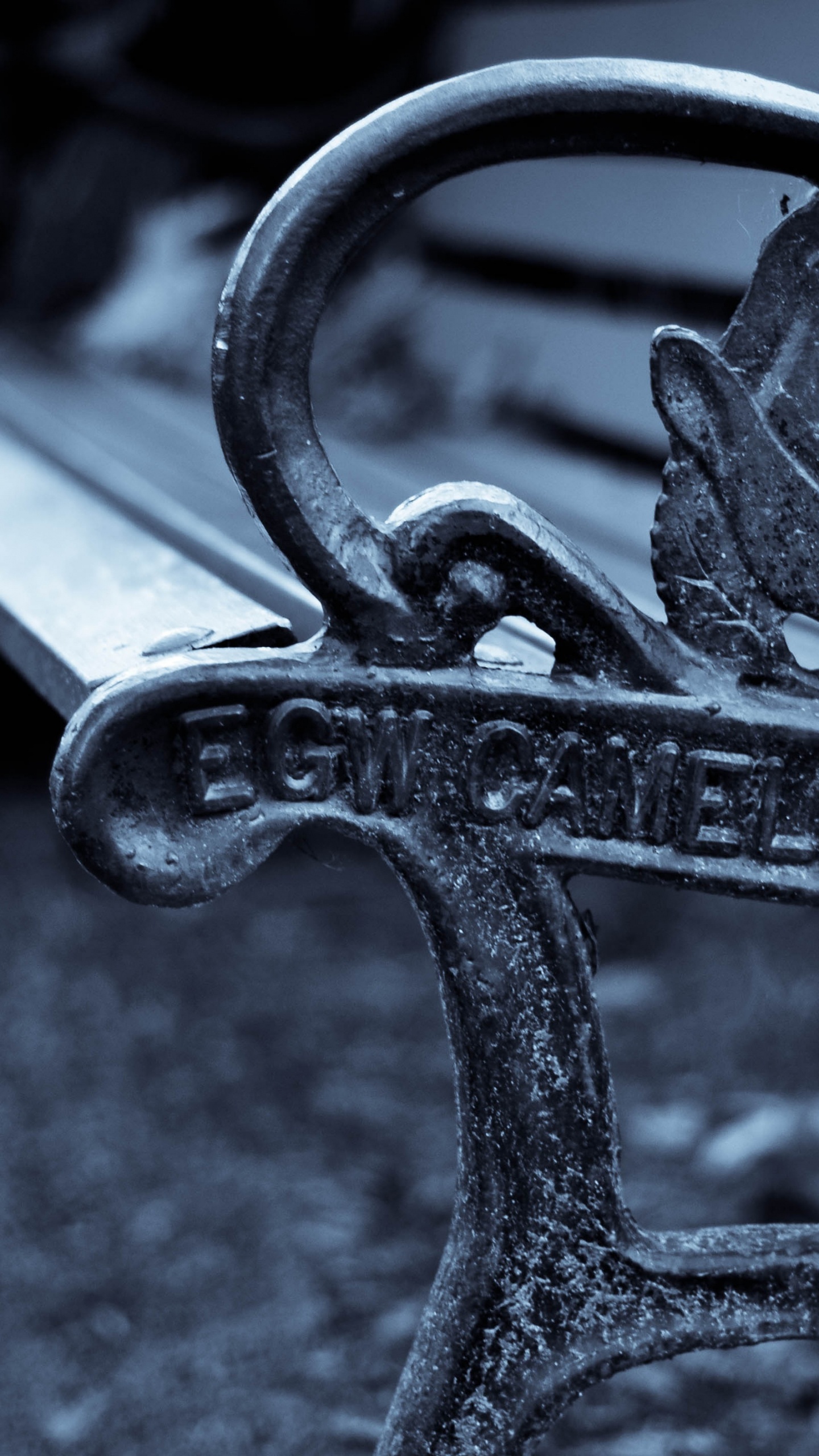 黑色的, 黑白摄影 壁纸 1440x2560 允许