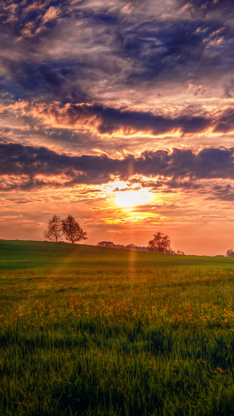 Grüne Wiese Unter Bewölktem Himmel Bei Sonnenuntergang. Wallpaper in 750x1334 Resolution