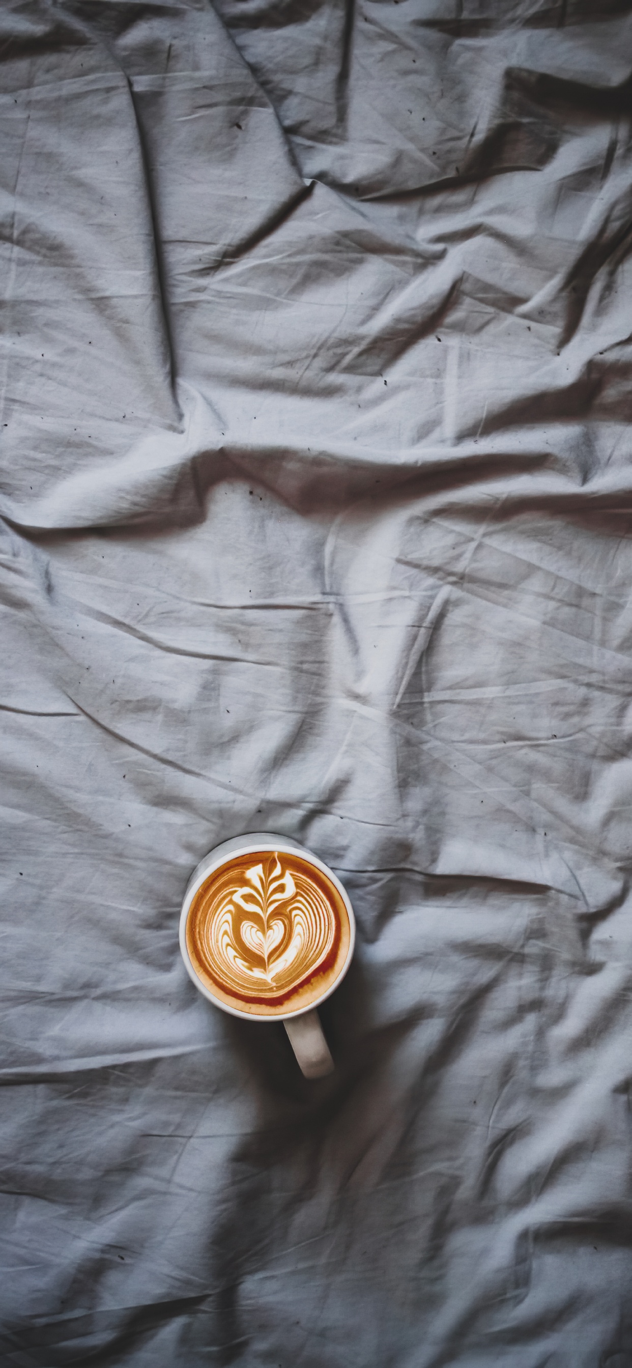 Wood, Brown, Outerwear, Textile, Sleeve. Wallpaper in 1242x2688 Resolution