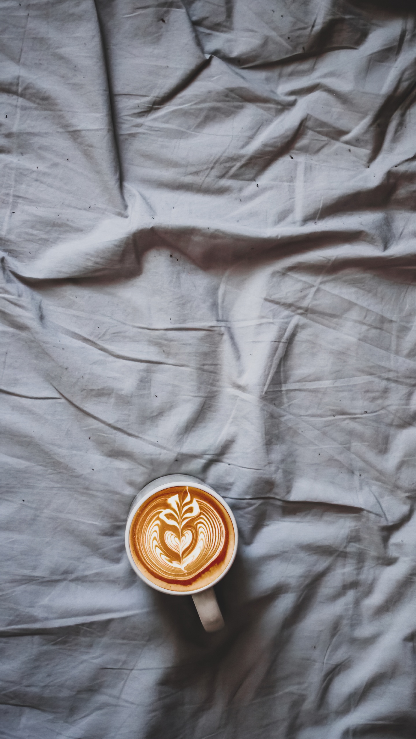 Wood, Brown, Outerwear, Textile, Sleeve. Wallpaper in 1440x2560 Resolution