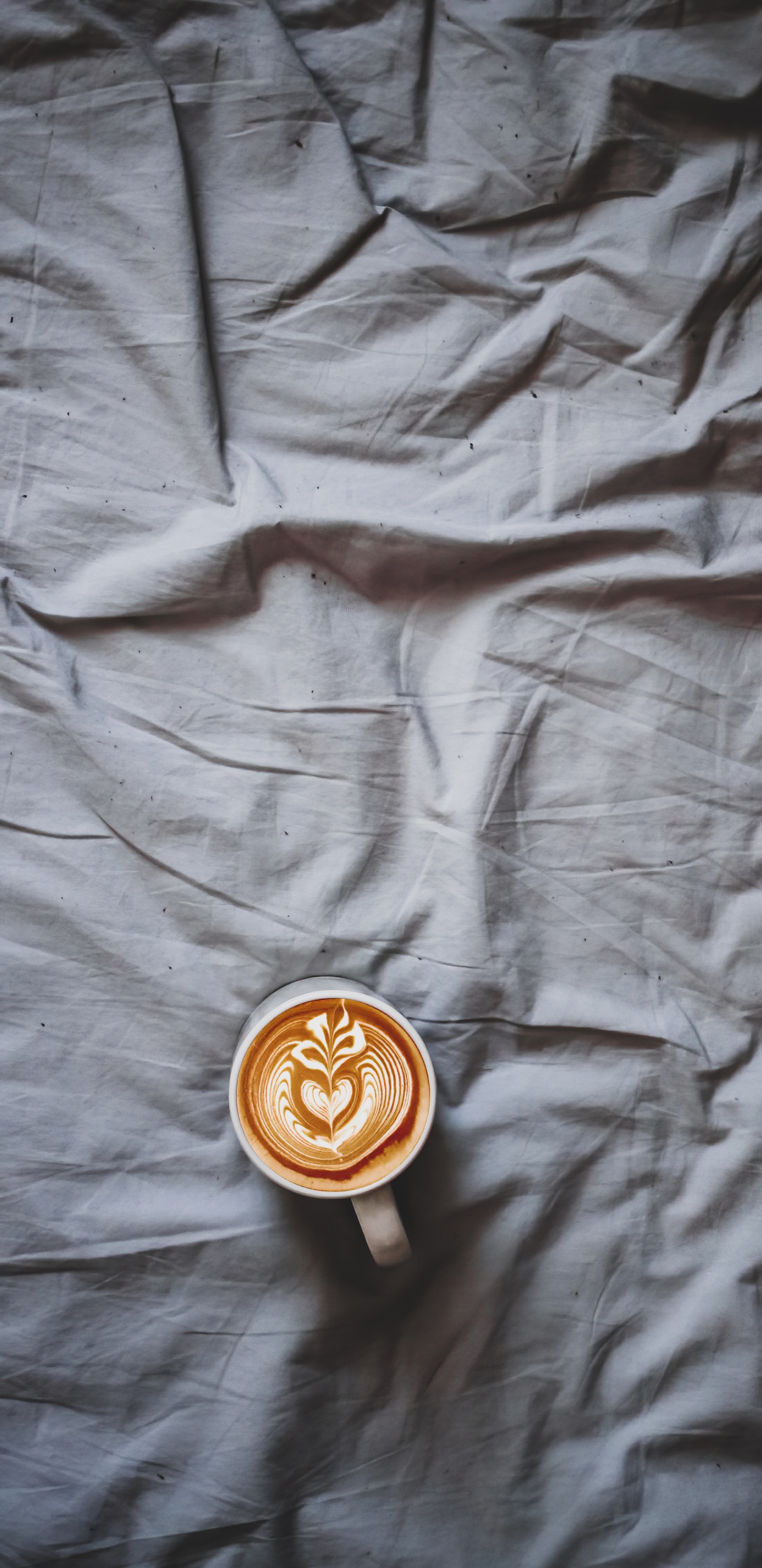 Wood, Brown, Outerwear, Textile, Sleeve. Wallpaper in 1440x2960 Resolution