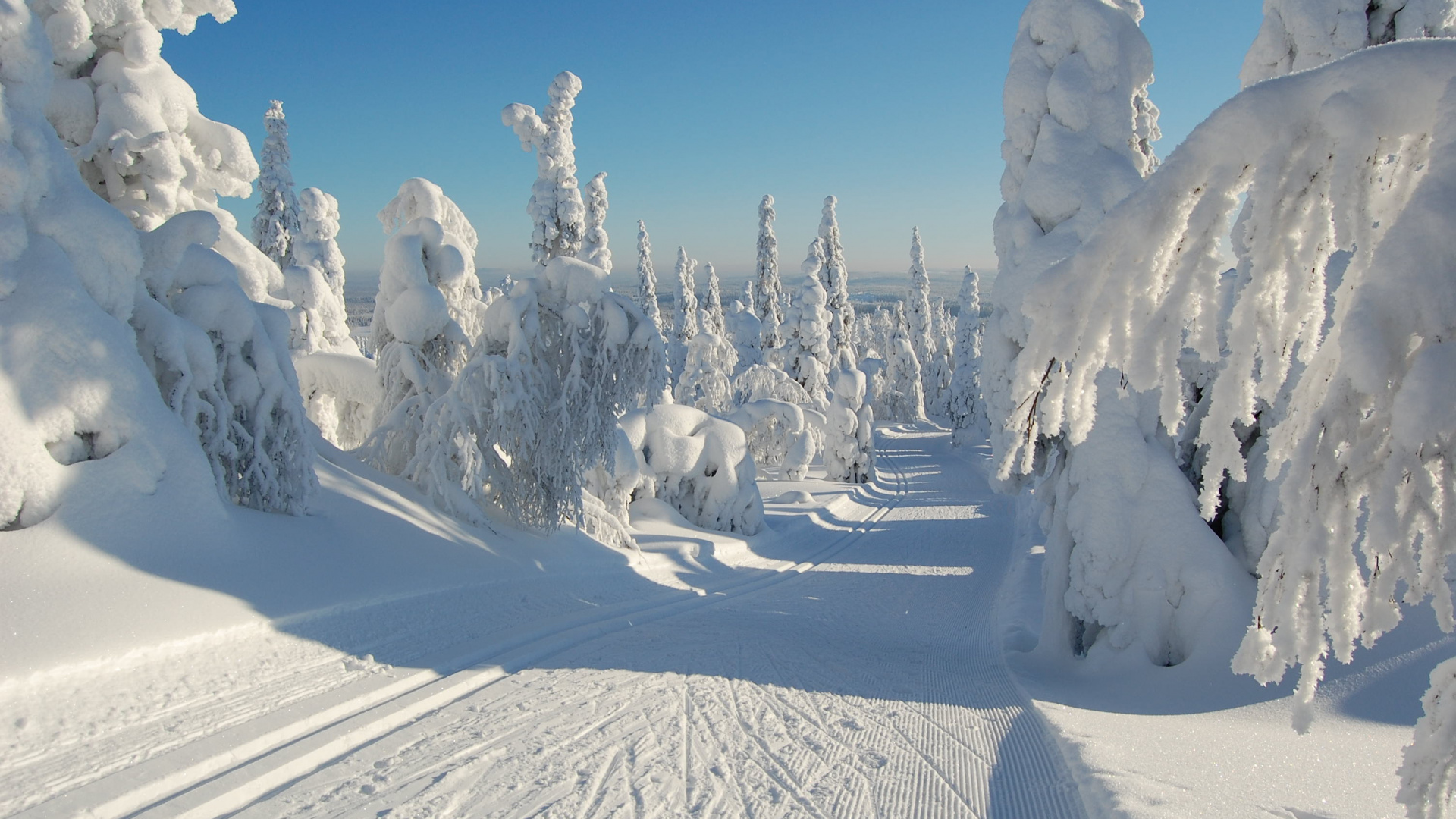 冬天, 冰川地貌, 冻结, 北极, 滑雪道 壁纸 1920x1080 允许