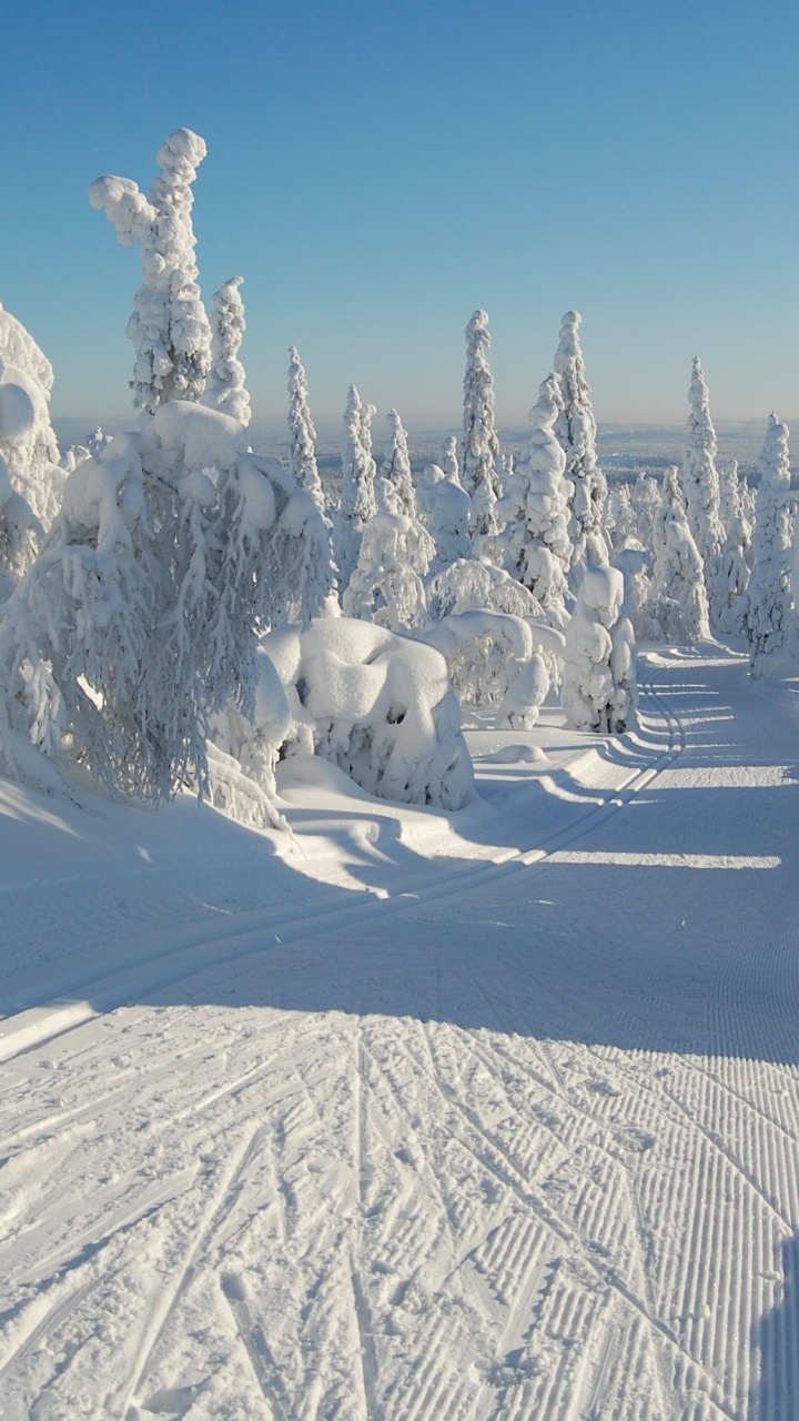White Horse on Snow Covered Ground During Daytime. Wallpaper in 720x1280 Resolution