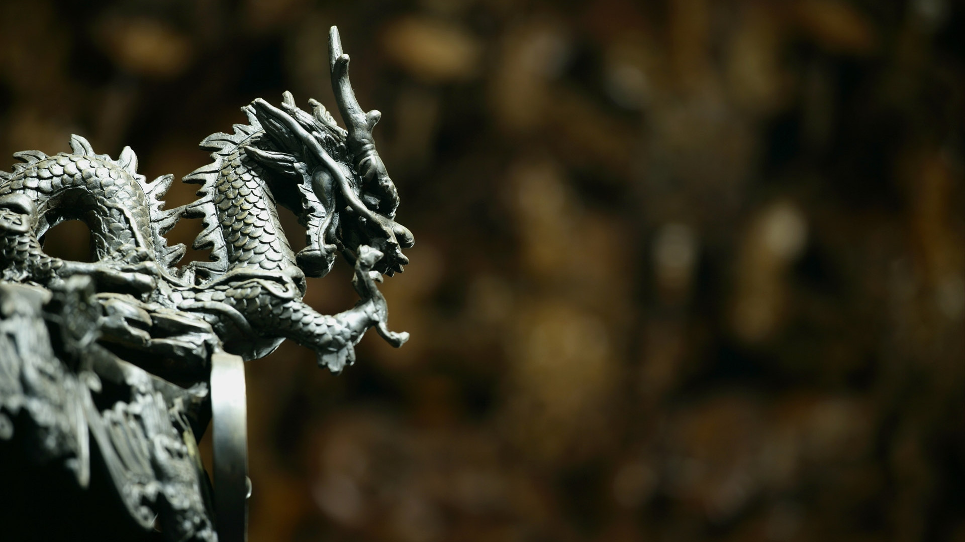 Weißer Und Schwarzer Vogel Auf Ast. Wallpaper in 1920x1080 Resolution