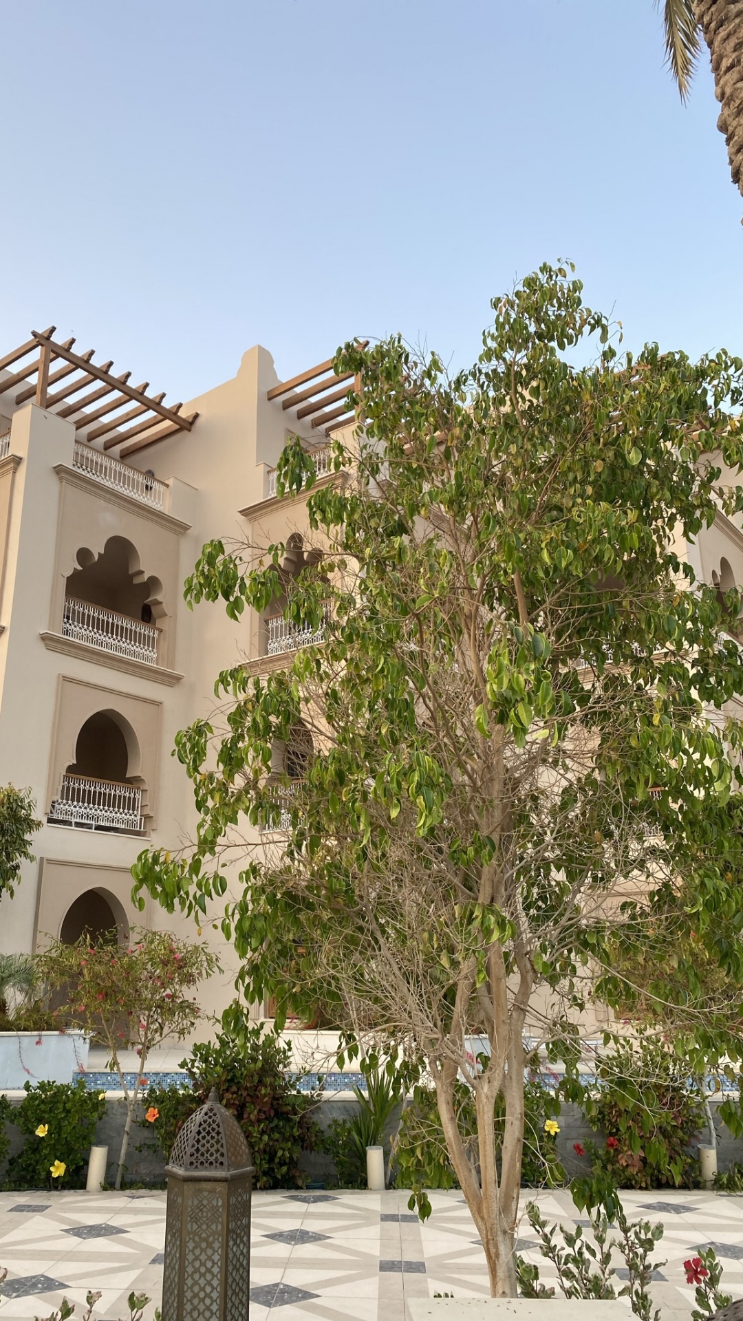 Baum, Immobilie, Apartment, Eigenschaft, Gebäude. Wallpaper in 1080x1920 Resolution