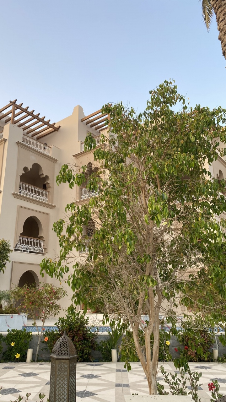 Baum, Immobilie, Apartment, Eigenschaft, Gebäude. Wallpaper in 720x1280 Resolution