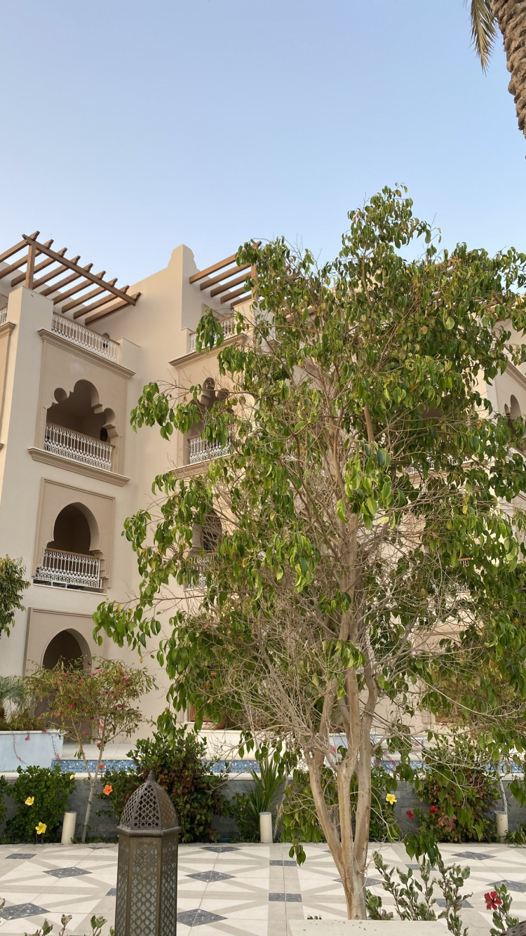 Baum, Immobilie, Apartment, Eigenschaft, Gebäude. Wallpaper in 750x1334 Resolution