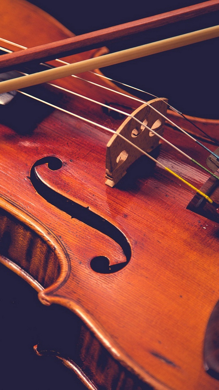 Violin, Cello, Viola, String Instrument, Musical Instrument. Wallpaper in 720x1280 Resolution