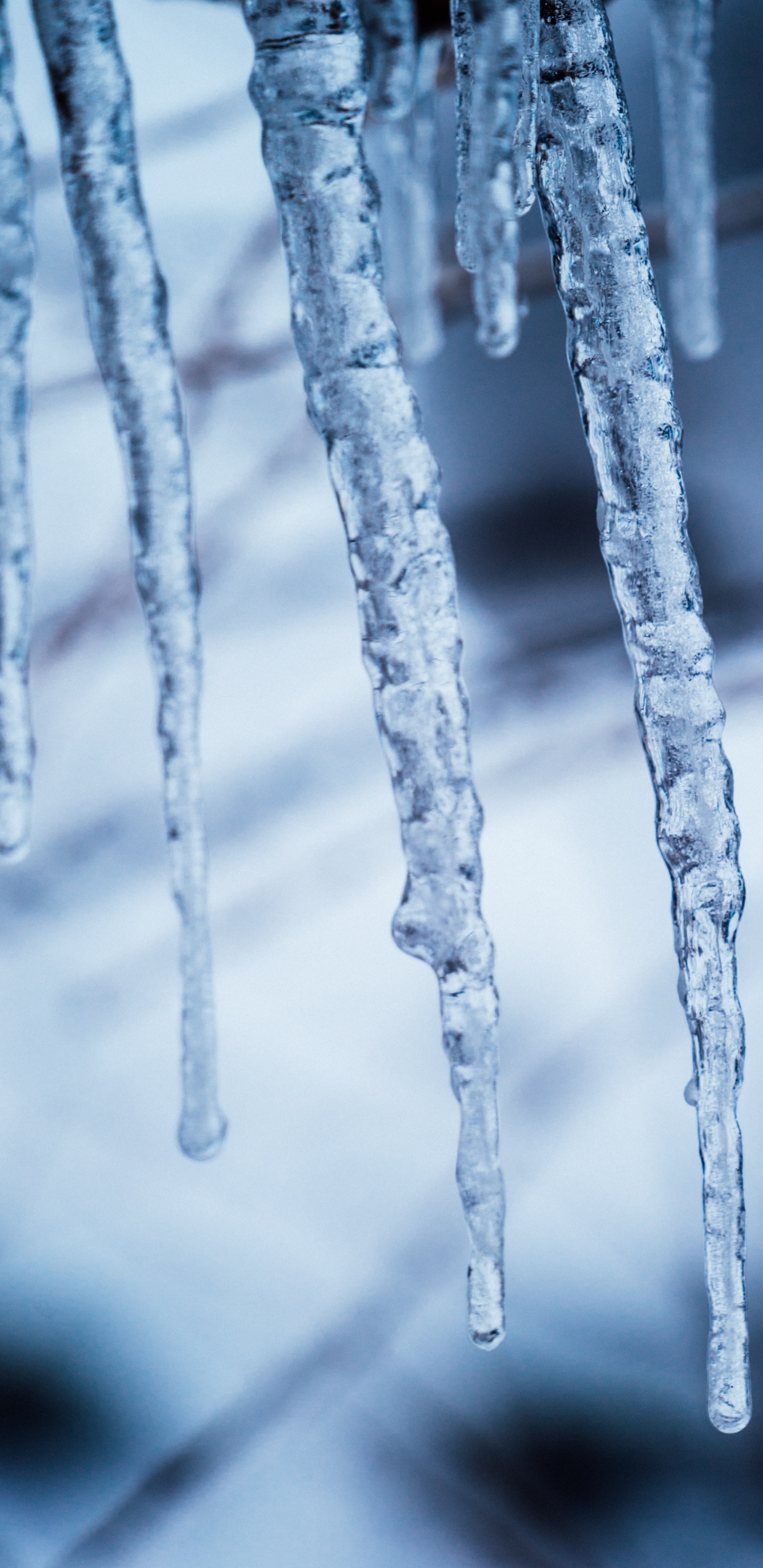 Carámbano, Hielo, Congelación, Invierno, Fusión. Wallpaper in 1440x2960 Resolution