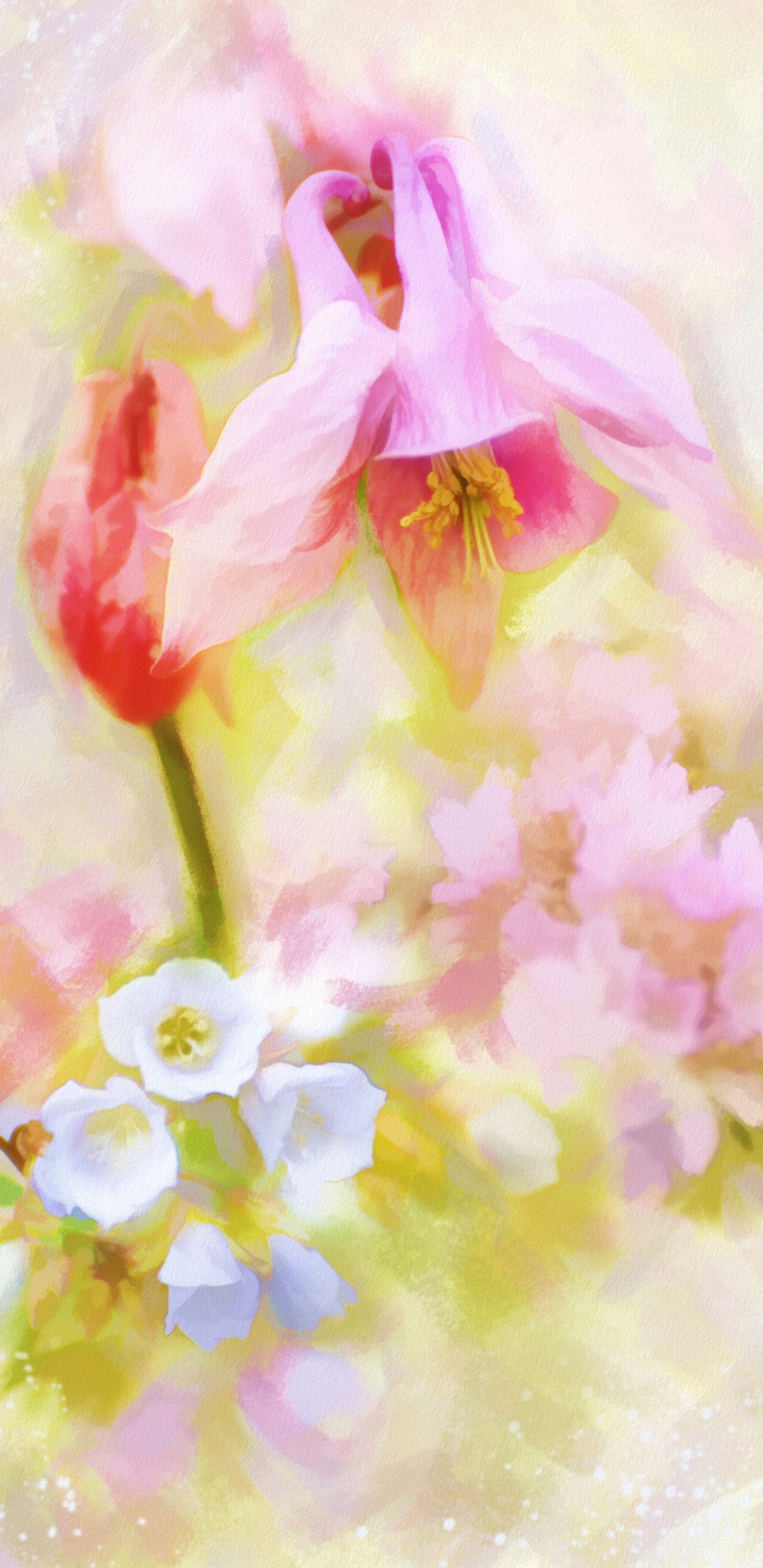 Pétales de Fleurs Roses et Blanches. Wallpaper in 1440x2960 Resolution