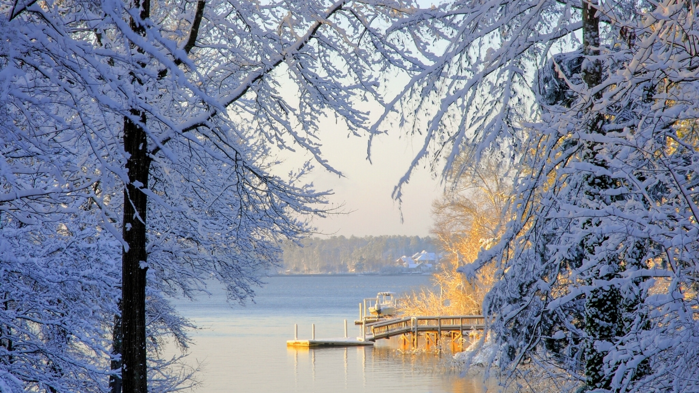 Brauner Holzsteg am See Tagsüber. Wallpaper in 1366x768 Resolution