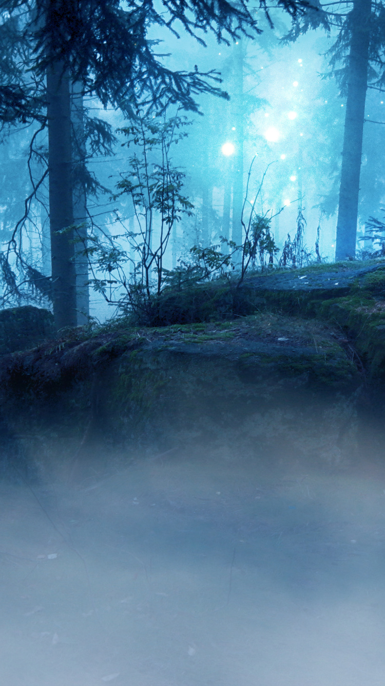 Natur, Blau, Naturlandschaft, Natürlichen Umgebung, Atmosphäre. Wallpaper in 750x1334 Resolution