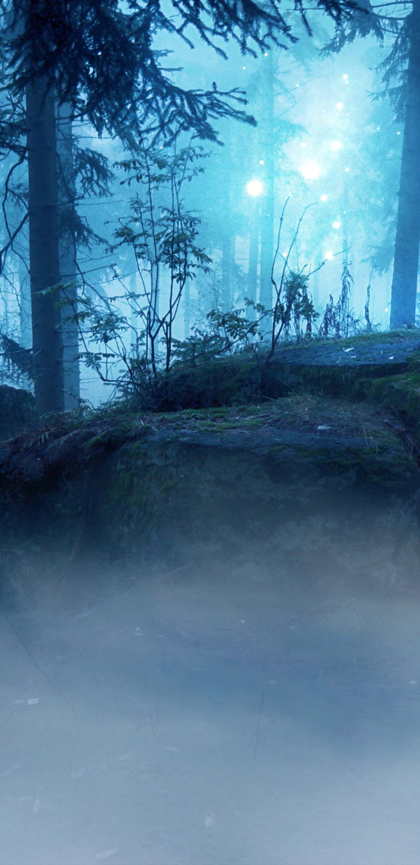 Nature, Blue, Natural Landscape, Natural Environment, Atmosphere. Wallpaper in 1440x2960 Resolution