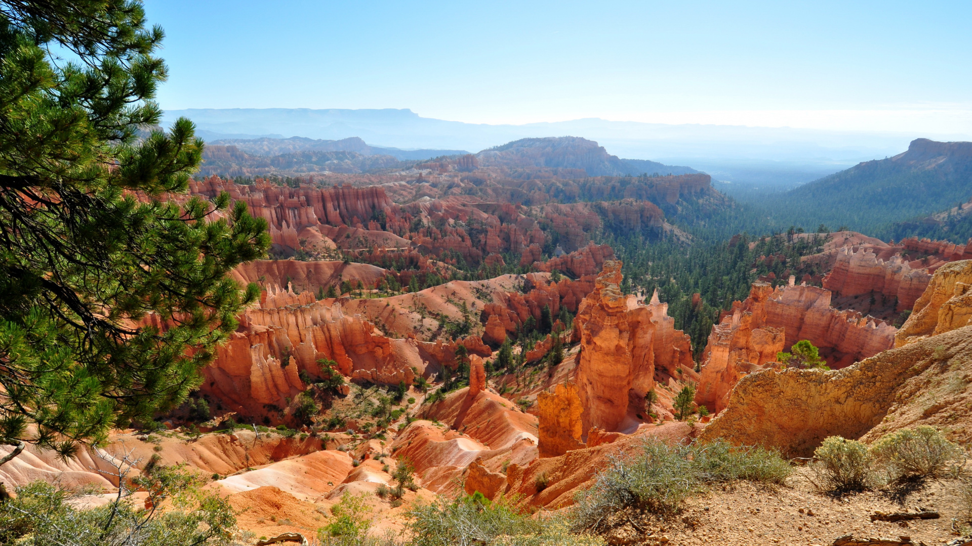 Brown Rock Formation Near Green Trees During Daytime. Wallpaper in 1920x1080 Resolution