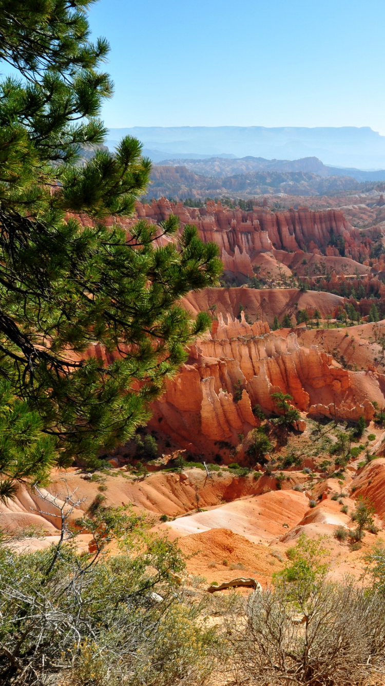 Brown Rock Formation Near Green Trees During Daytime. Wallpaper in 750x1334 Resolution