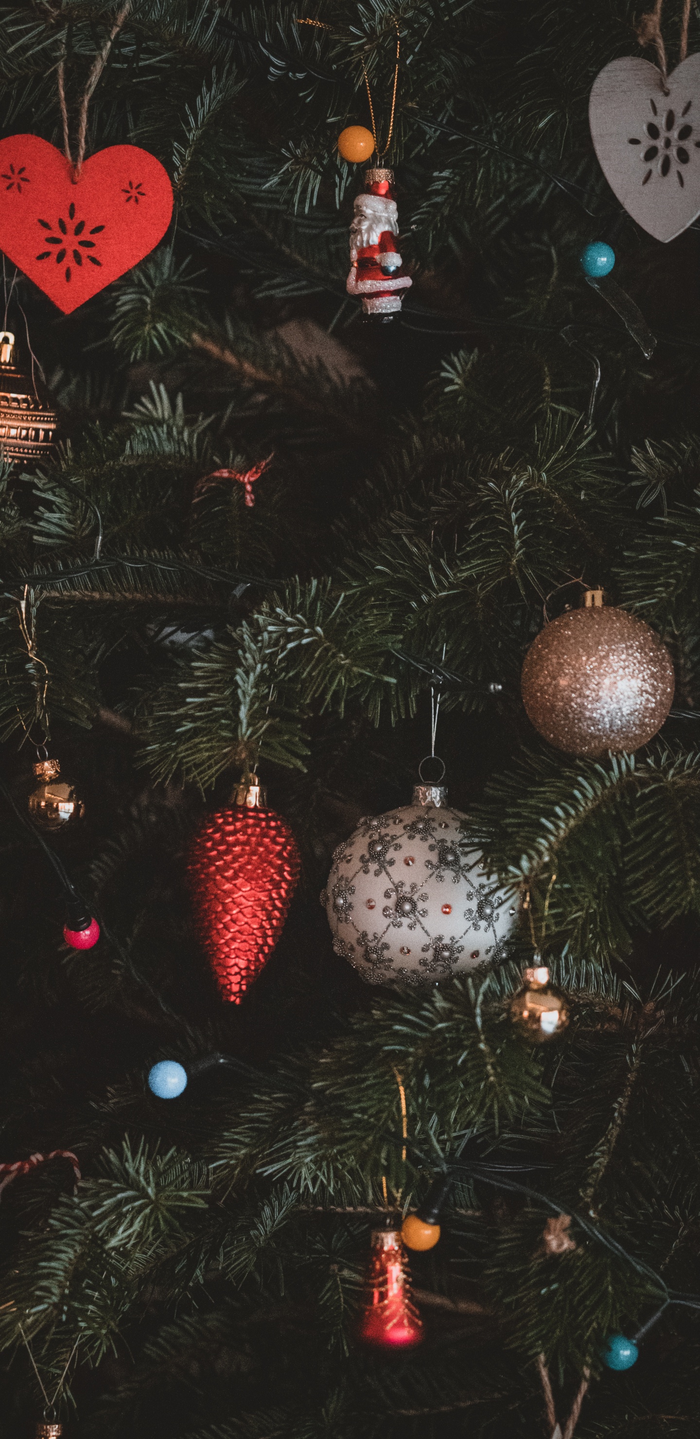 Christmas Day, Christmas Ornament, Tree, Christmas, Branch. Wallpaper in 1440x2960 Resolution