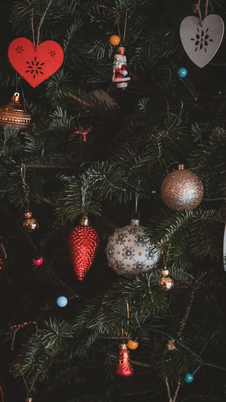 Christmas Day, Christmas Ornament, Tree, Christmas, Branch. Wallpaper in 750x1334 Resolution