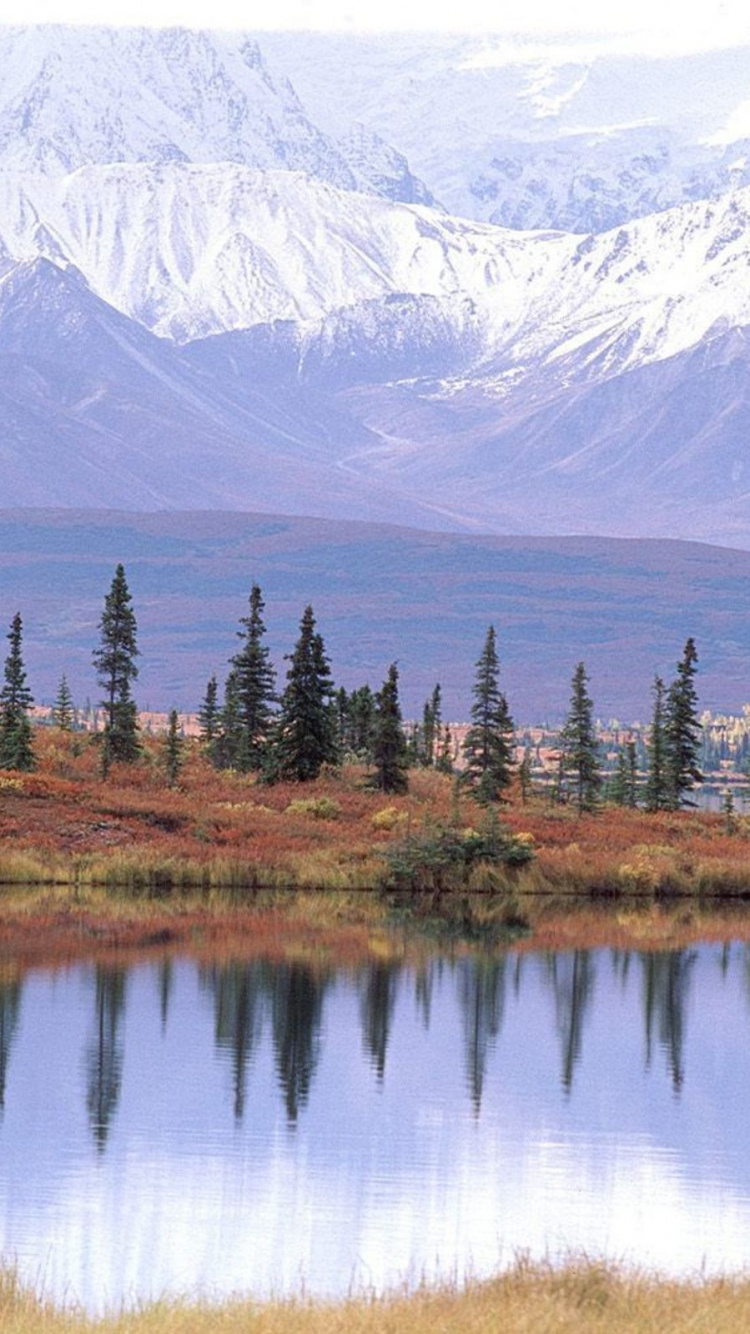 Green Trees Near Lake and Snow Covered Mountain During Daytime. Wallpaper in 750x1334 Resolution