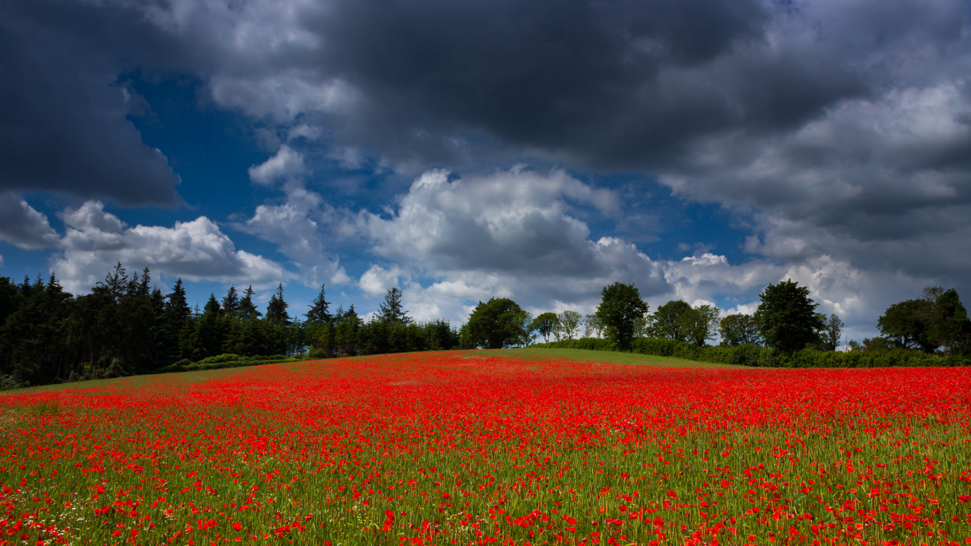 Green Grass Field Under Cloudy Sky During Daytime. Wallpaper in 1920x1080 Resolution