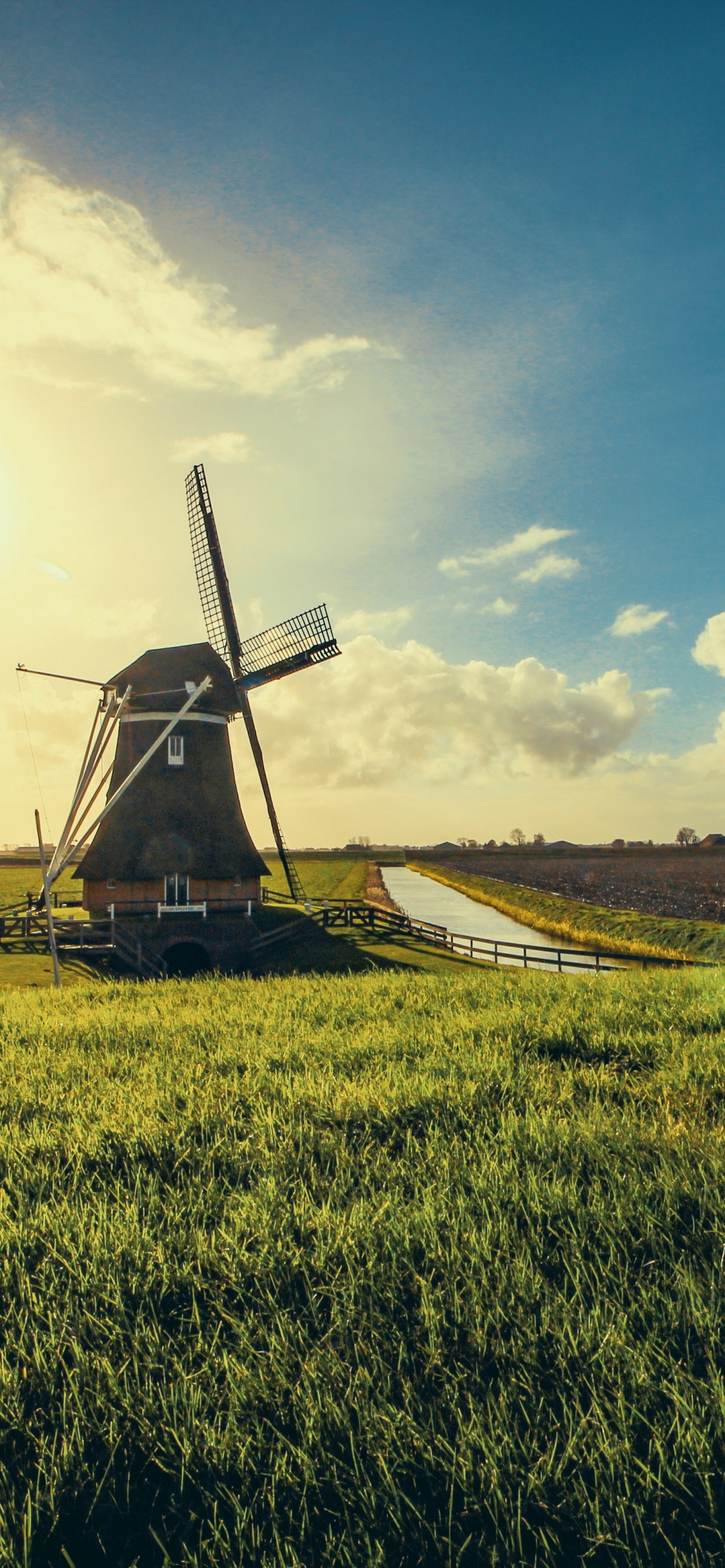 荷兰, 风车, 农场, 风力涡轮机, 组织 壁纸 1242x2688 允许