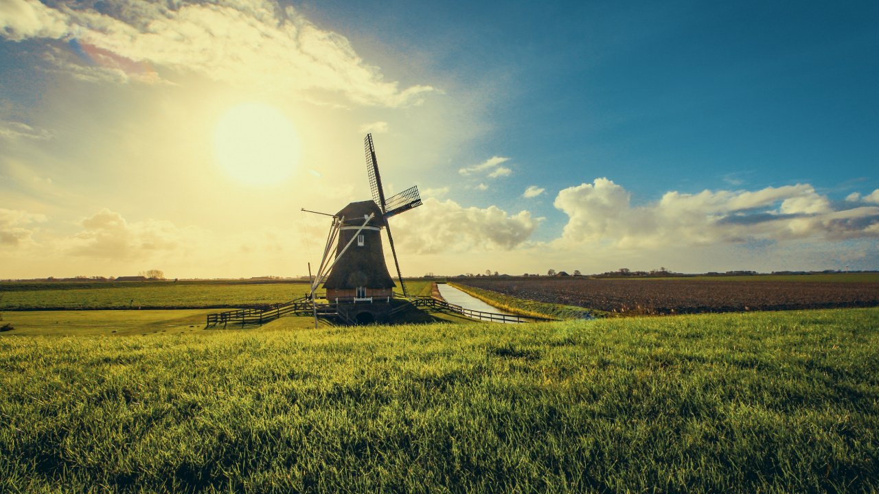 Netherlands, Windmill, Field, Grassland, Farm. Wallpaper in 1280x720 Resolution