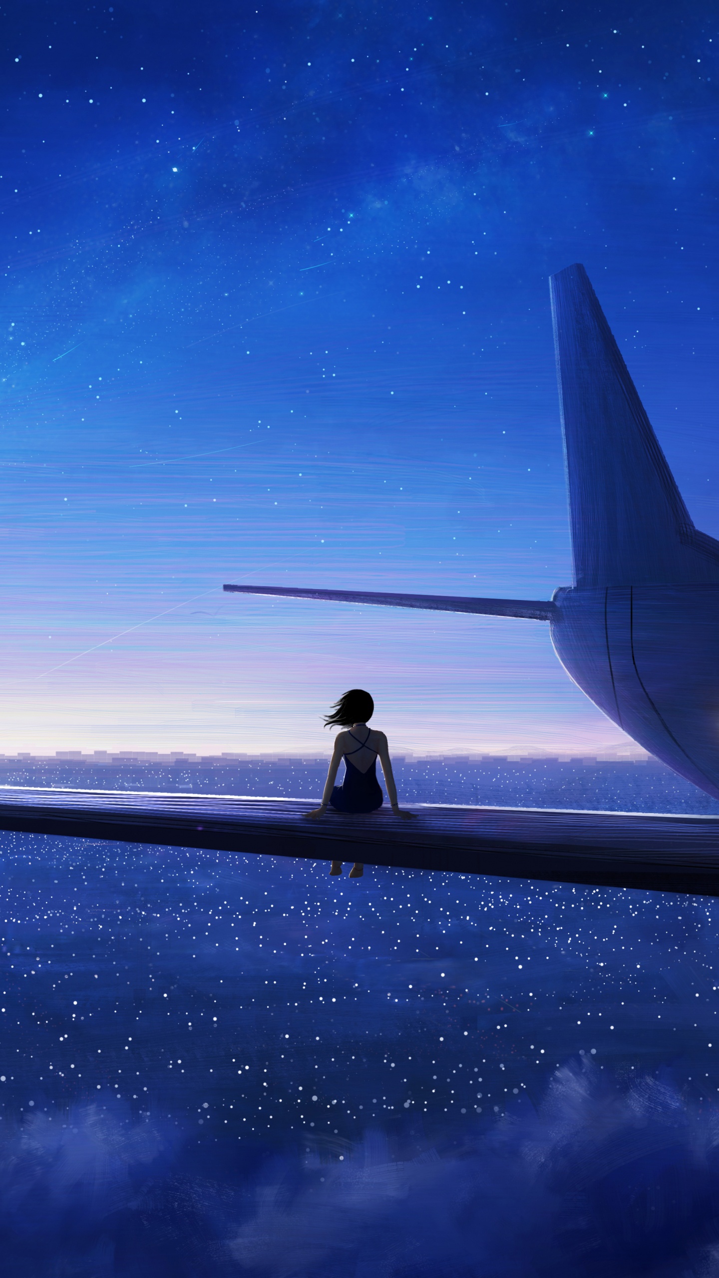 Silhouette D'avion Sur la Plage Pendant la Nuit. Wallpaper in 1440x2560 Resolution