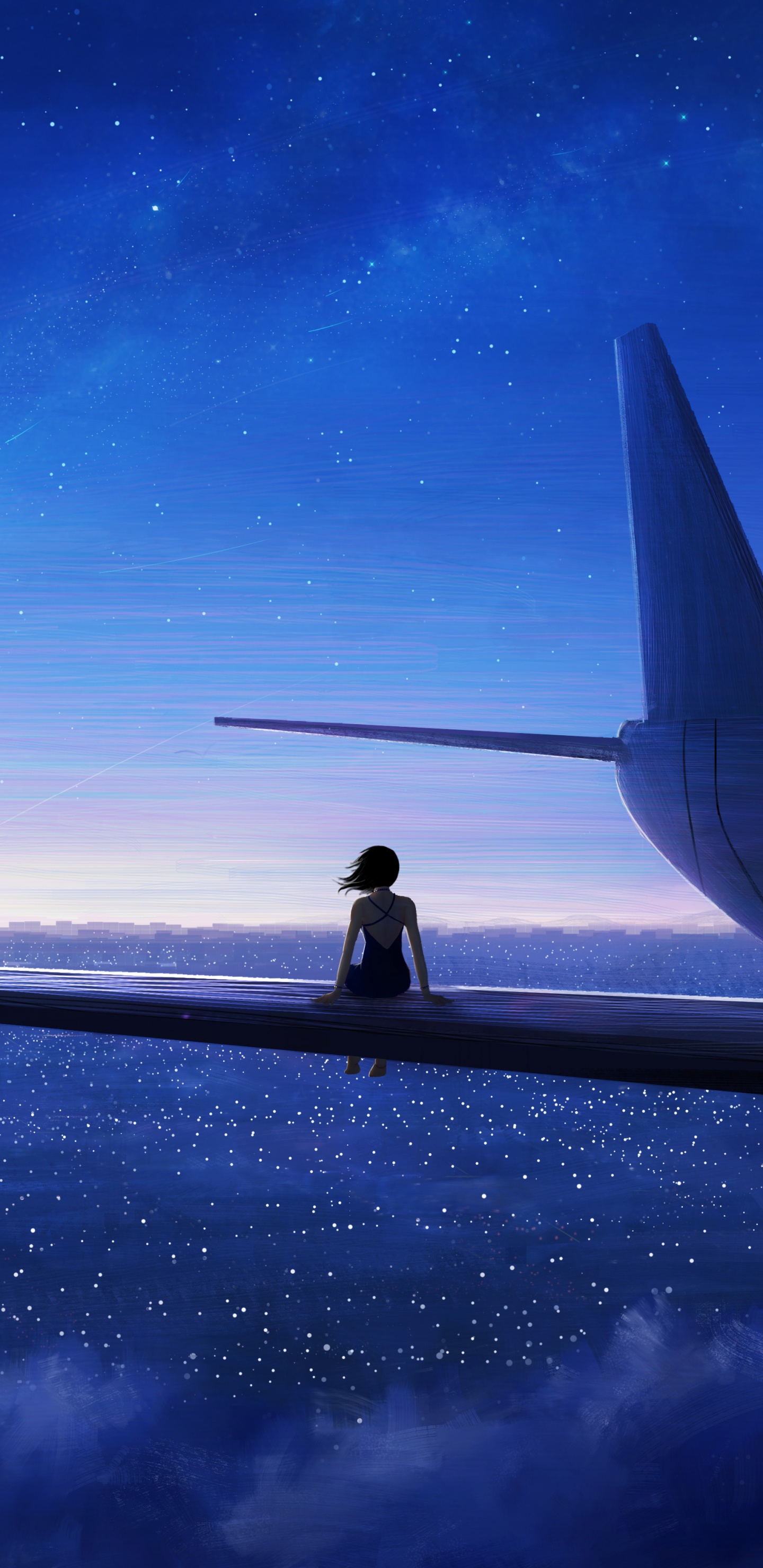 Silhouette D'avion Sur la Plage Pendant la Nuit. Wallpaper in 1440x2960 Resolution