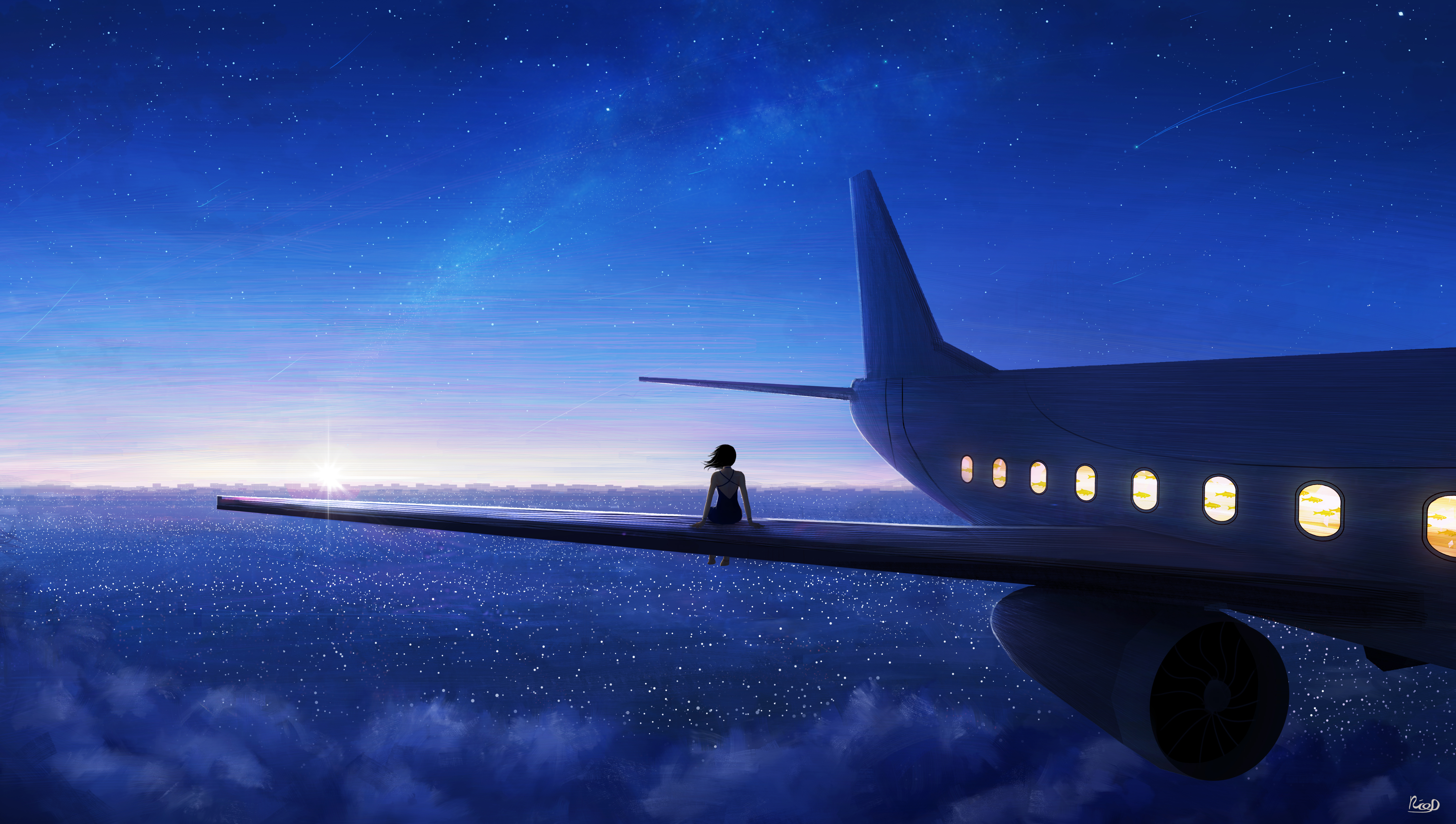 airplane at night wallpaper