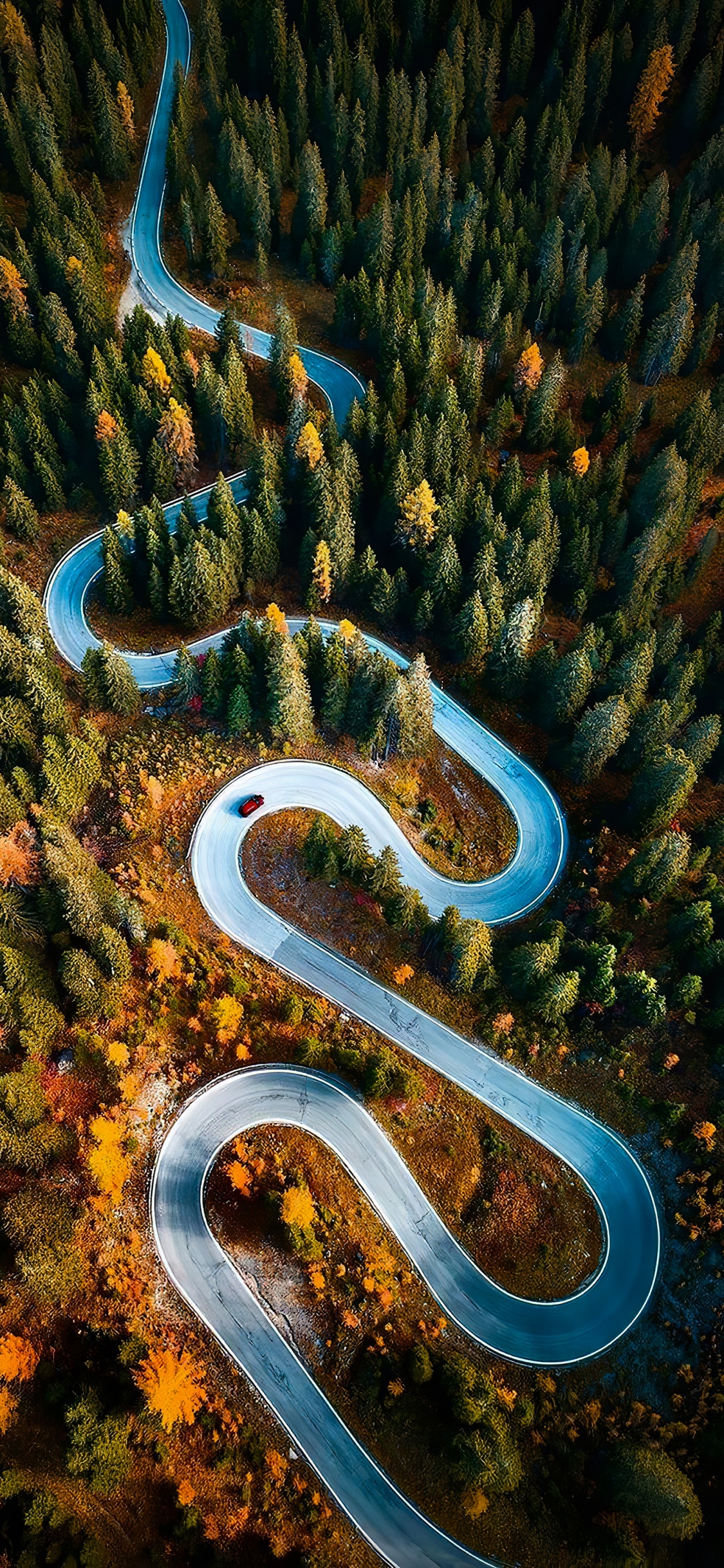 Natur, Ökoregion, Naturlandschaft, Vegetation, Städtebau. Wallpaper in 1125x2436 Resolution