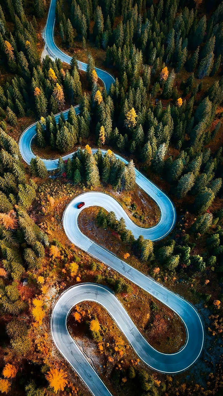 Nature, Ecoregion, Natural Landscape, Plant, Vegetation. Wallpaper in 720x1280 Resolution