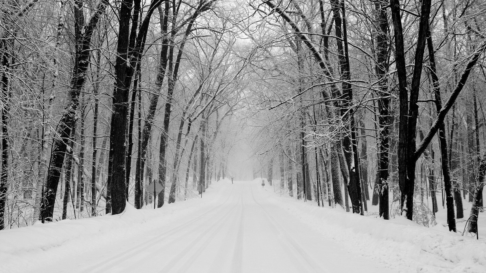 Snow Covered Road Between Bare Trees. Wallpaper in 1920x1080 Resolution