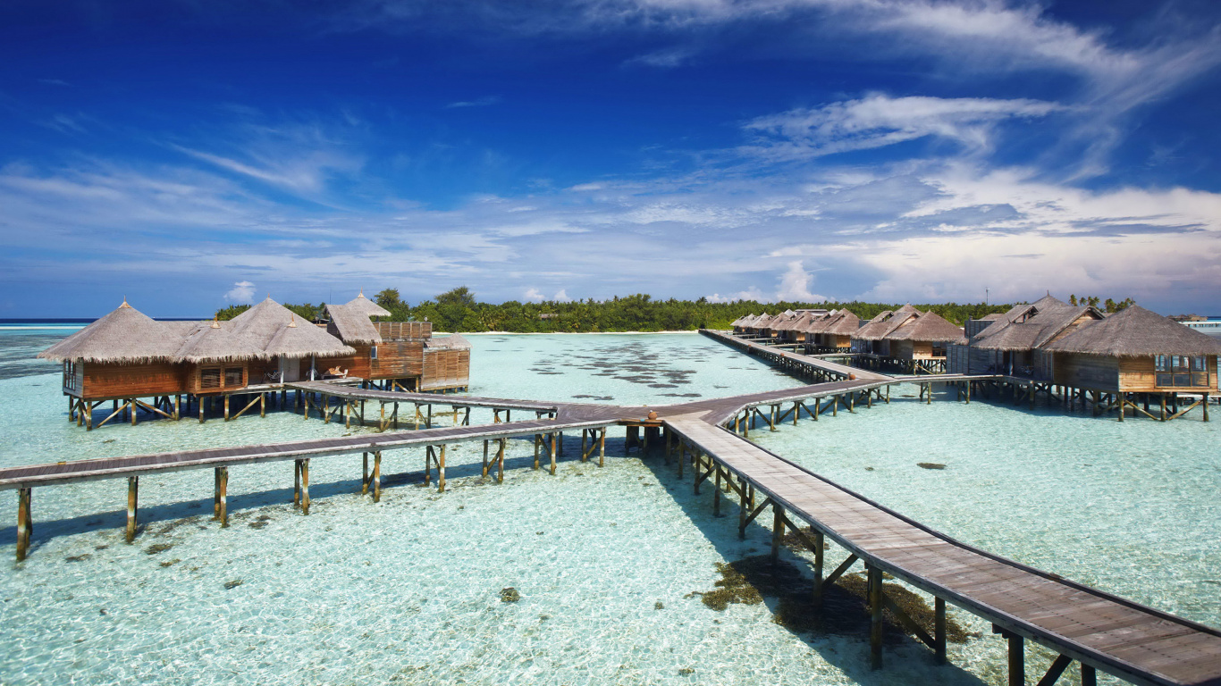 Brown Wooden Dock on Body of Water During Daytime. Wallpaper in 1366x768 Resolution