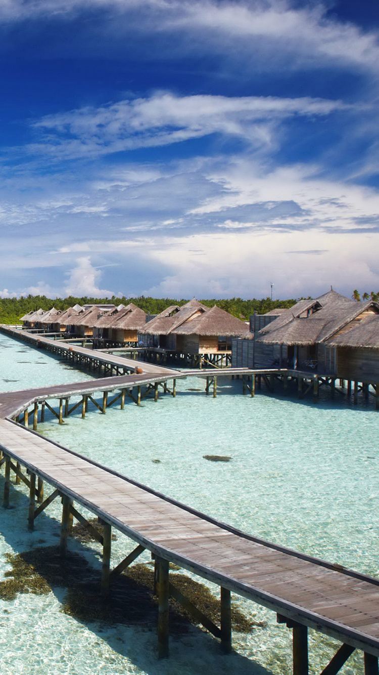 Brown Wooden Dock on Body of Water During Daytime. Wallpaper in 750x1334 Resolution