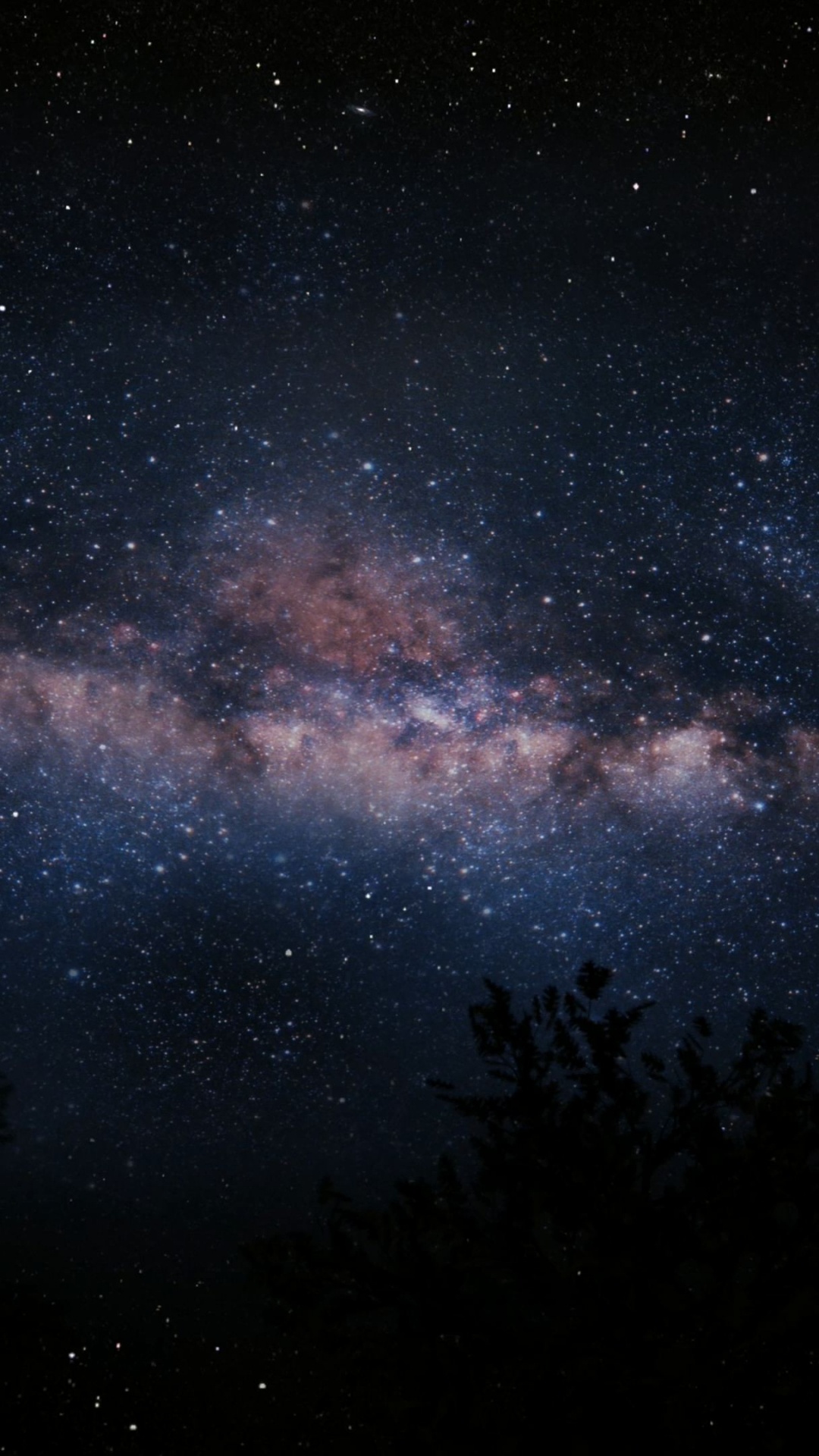 Silueta de Árboles Bajo un Cielo Azul Con Estrellas Durante la Noche. Wallpaper in 1080x1920 Resolution