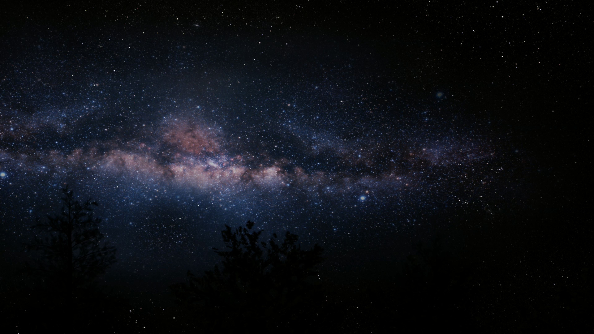 Silueta de Árboles Bajo un Cielo Azul Con Estrellas Durante la Noche. Wallpaper in 1920x1080 Resolution