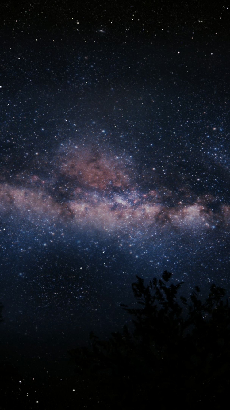 Silhouette of Trees Under Blue Sky With Stars During Night Time. Wallpaper in 750x1334 Resolution