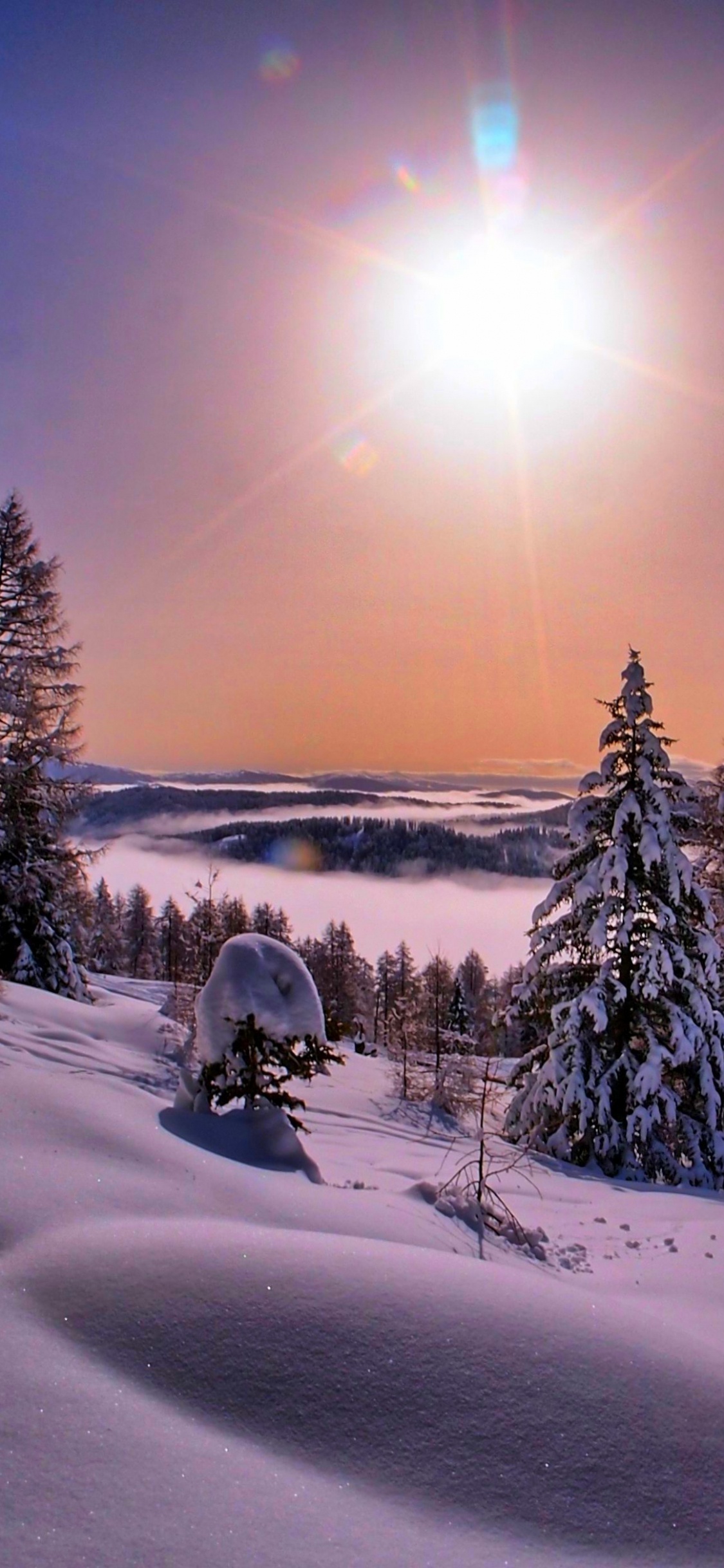 Schneebedecktes Feld Mit Bäumen Tagsüber. Wallpaper in 1125x2436 Resolution