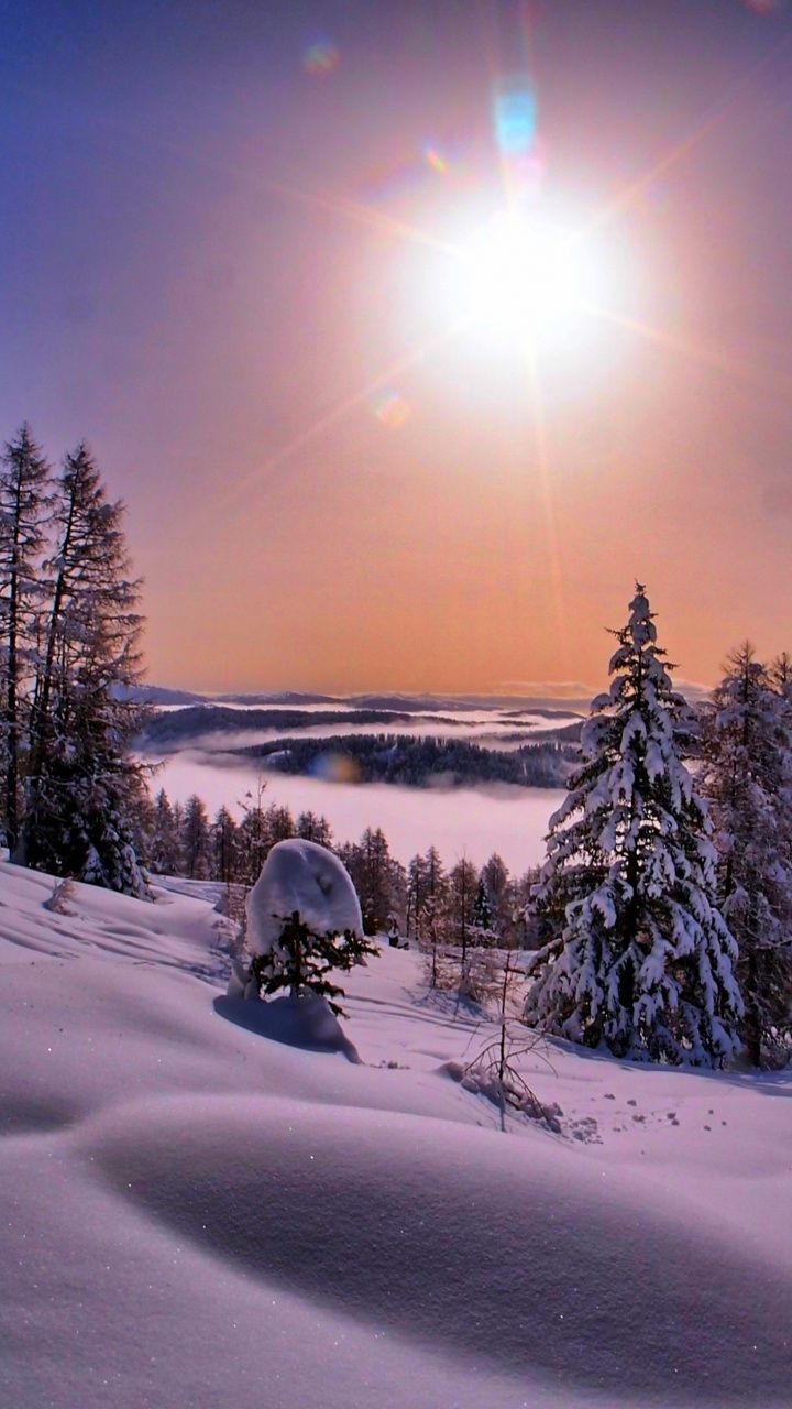 Snow Covered Field With Trees During Daytime. Wallpaper in 720x1280 Resolution