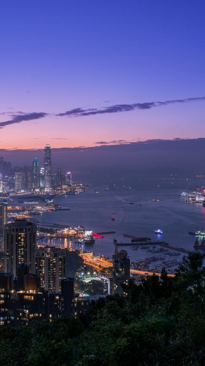 City Skyline Near Body of Water During Night Time. Wallpaper in 720x1280 Resolution