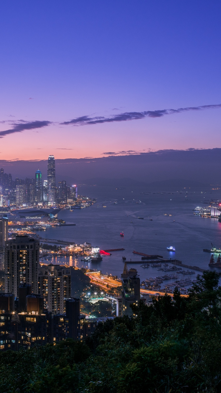 City Skyline Near Body of Water During Night Time. Wallpaper in 750x1334 Resolution