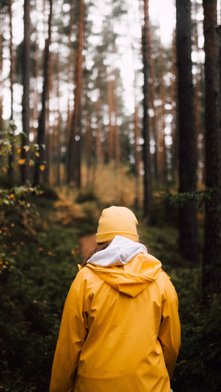 旅游业, 黄色的, 荒野, 性质, 森林 壁纸 720x1280 允许