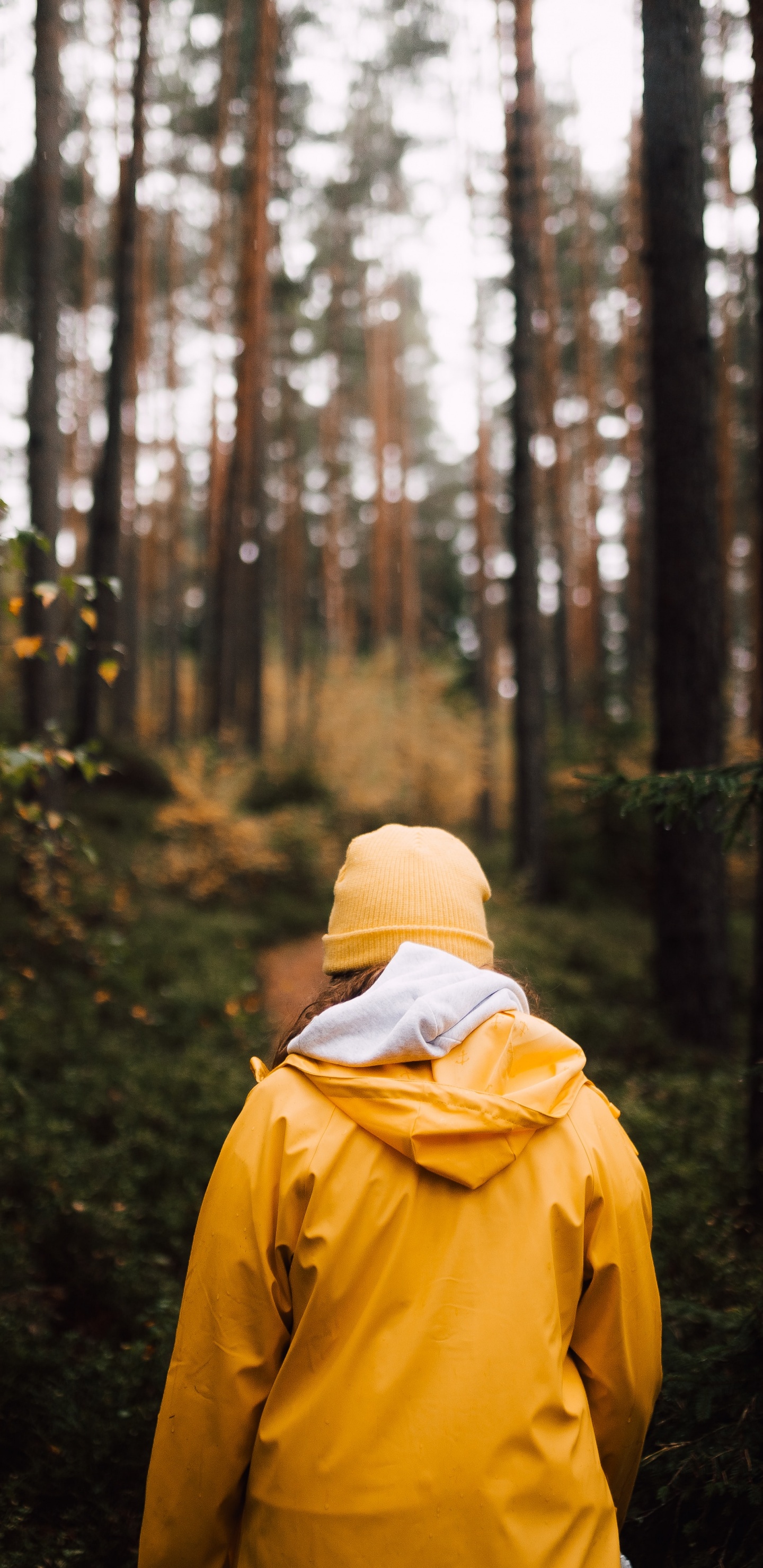 Person in Yellow Hoodie Standing in Forest During Daytime. Wallpaper in 1440x2960 Resolution