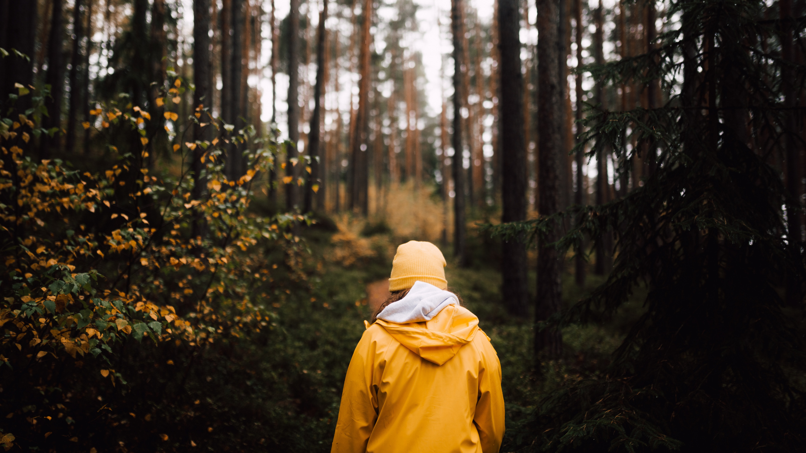 Person in Yellow Hoodie Standing in Forest During Daytime. Wallpaper in 2560x1440 Resolution