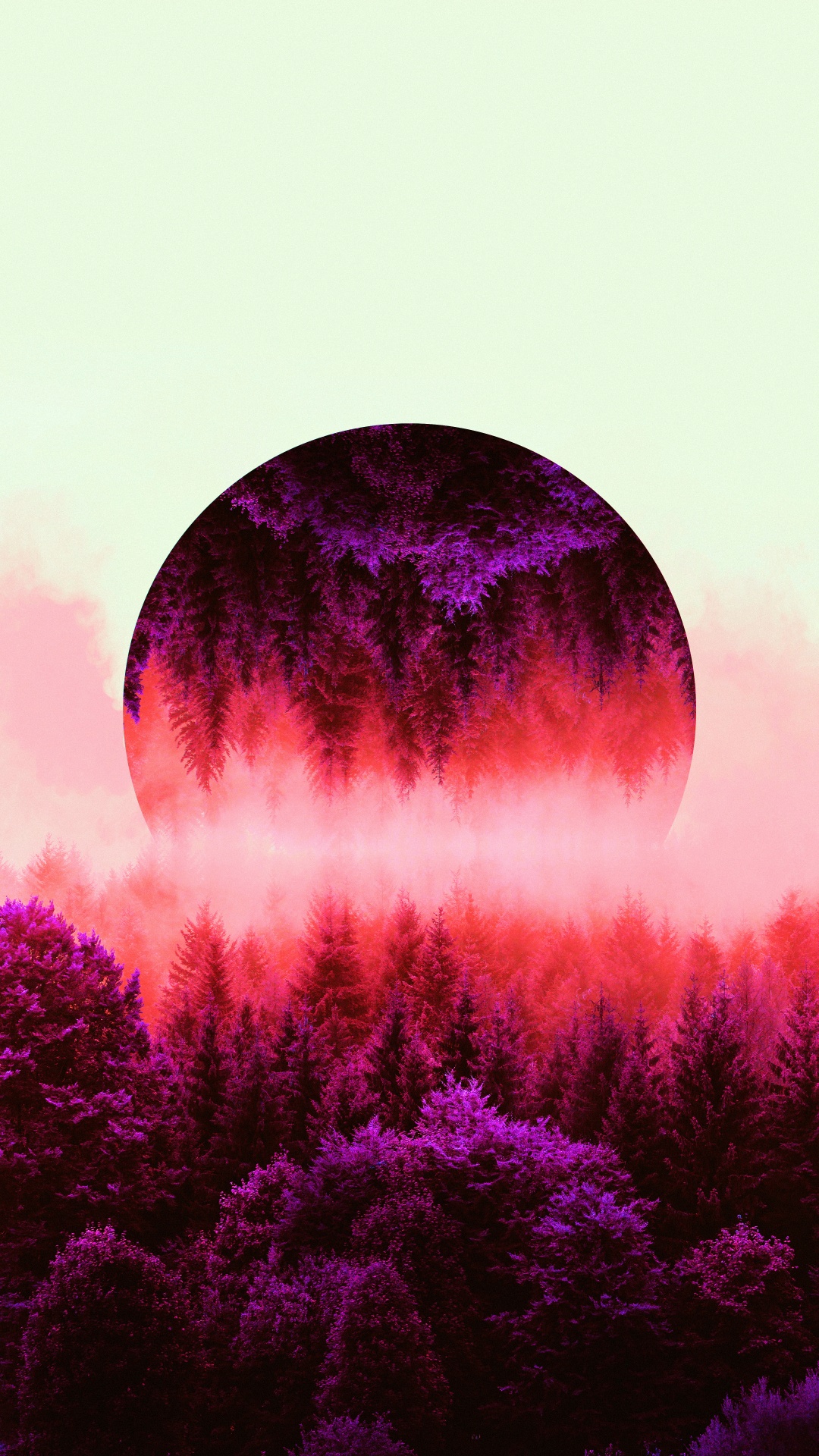 下载 1080x1920 壁纸 森林, 林业, 性质, 雾, 紫色的 森林, 林业, 性质, 雾, 紫色的 壁纸 1080x1920 允许