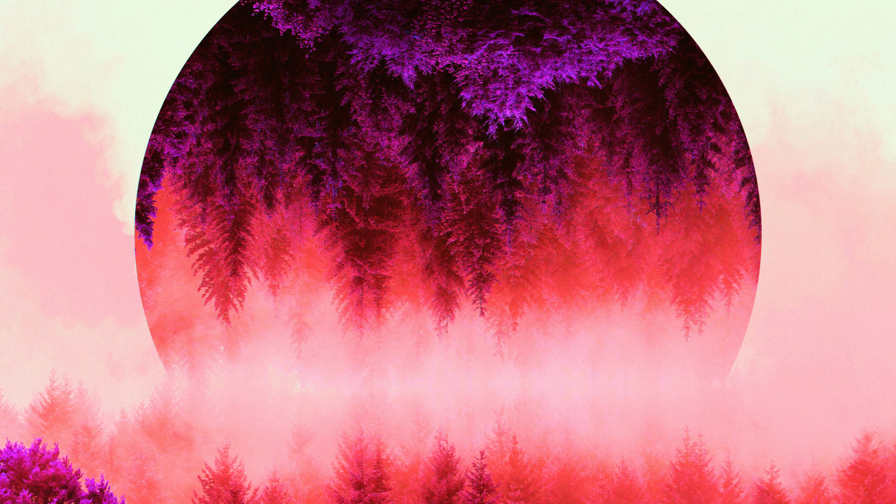 Silvicultura, Naturaleza, Bruma, Morado, Paisaje Natural. Wallpaper in 1280x720 Resolution