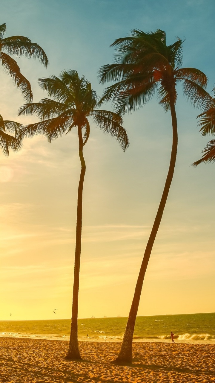 Kokospalmen am Strand Bei Sonnenuntergang. Wallpaper in 720x1280 Resolution